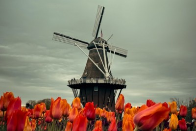 In The Mix Nederlands-gecombineerde-les-cursus-activiteit-Brussel